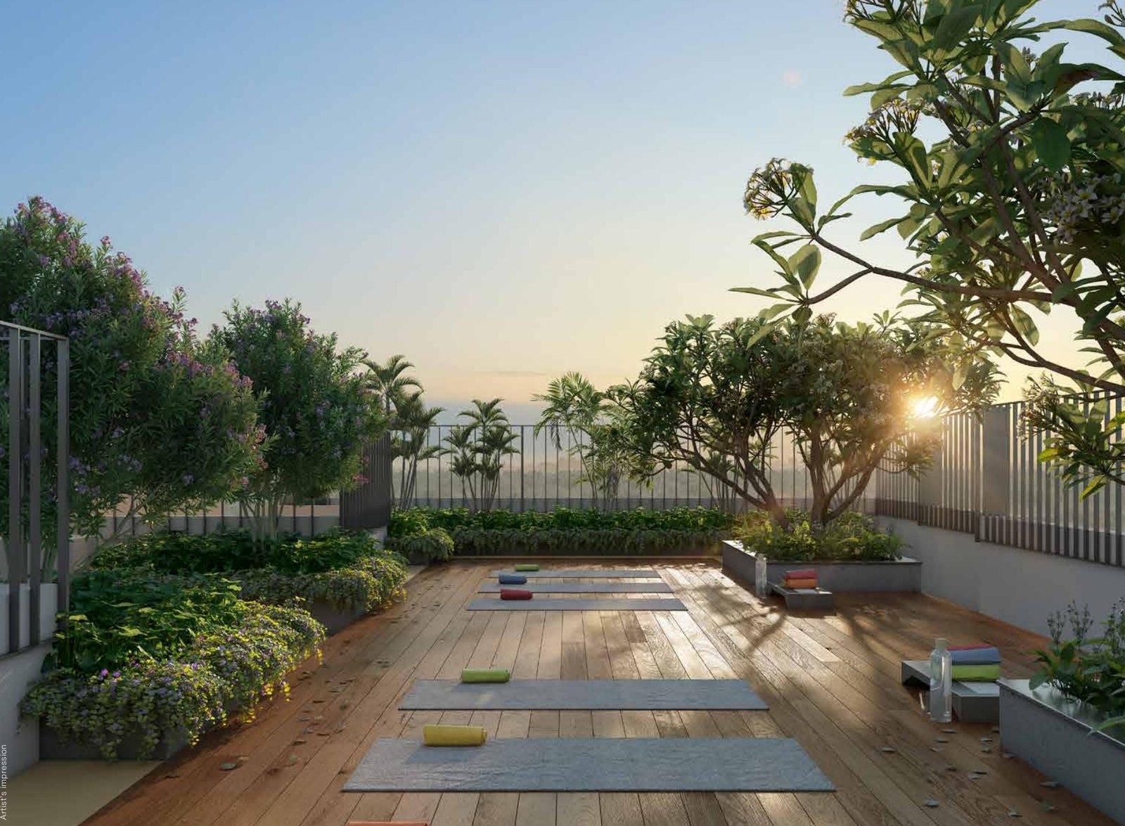 Rooftop Deck Gardens