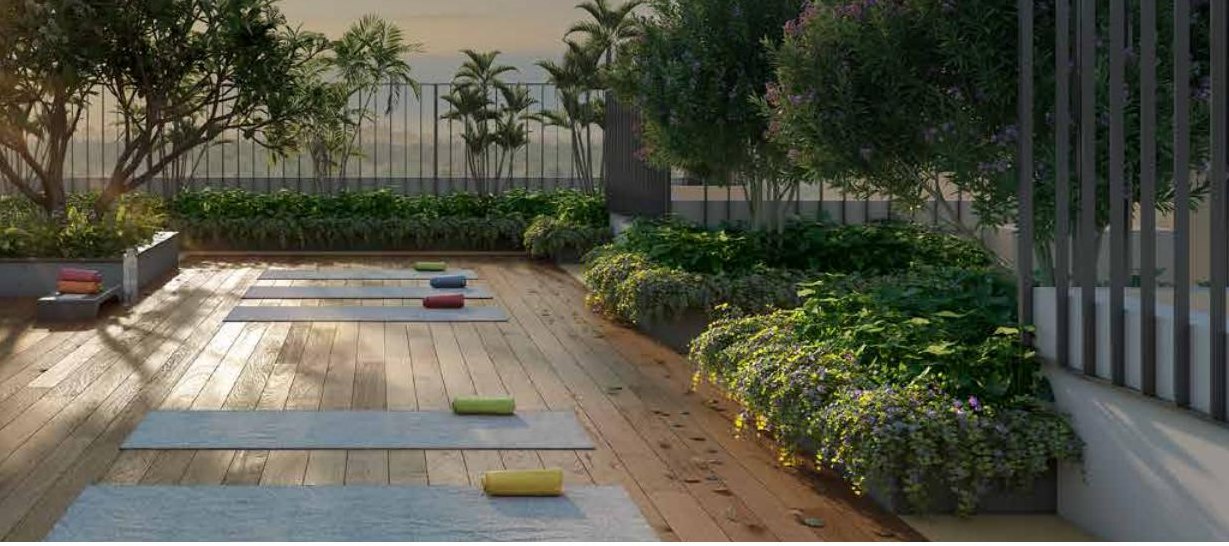 Rooftop Yoga & Sunrise Deck