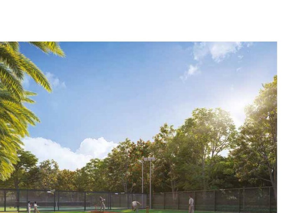 Cricket Play Arena