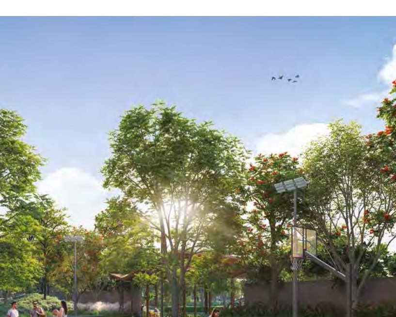 Outdoor Sports Zone