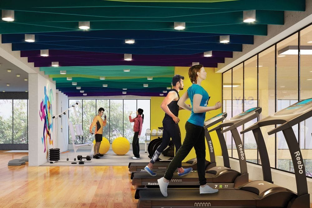 Gymnasium
