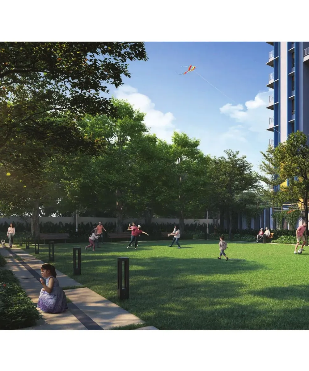 Central Activity Lawn