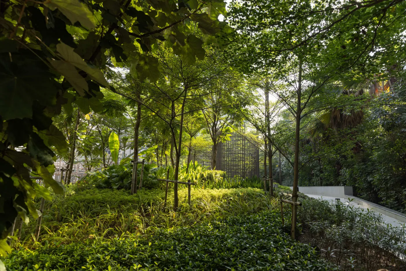 Forest trail and jungle cabana at Navyom, New Alipore